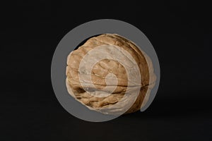 One walnut in studio