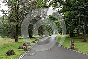 A one-way asphalt road in a country park near Balloch Castle in Scotland where people can admire view and relax in nature
