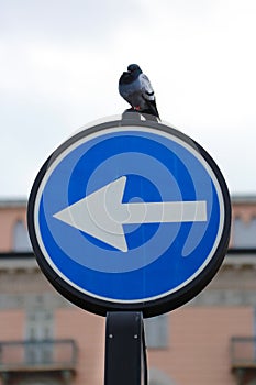 One Way Directional Traffic Sign in Italia