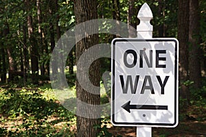 One Way Sign