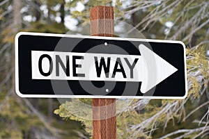 One Way Sign on Post with Green Forest Background