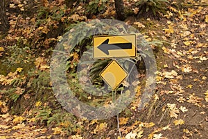 One way sign on side of road with colorful autumn leaves and large ferns