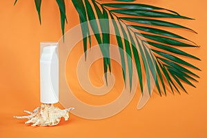 One white blank cosmetics bottle with sunscreen, suncream or other cosmetic product, seashell and green brunch palm on
