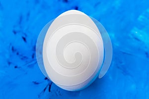 One white chicken egg on a blue abstract background backdrop. Cover concept. Close-up.
