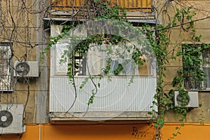 One white covered balcony overgrown with green vegetation on a brown wall with windows