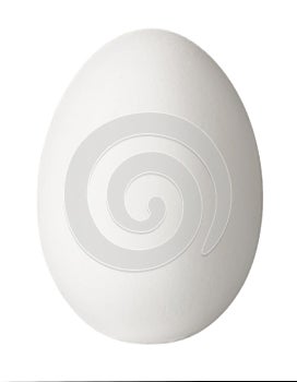 One white egg