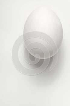 One white egg