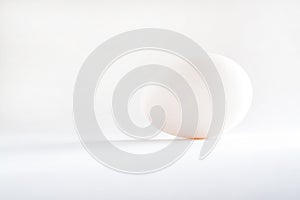One white egg isolated white background