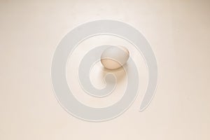 One white egg isolated on White Background