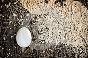 One white egg lies on an old dark wooden background