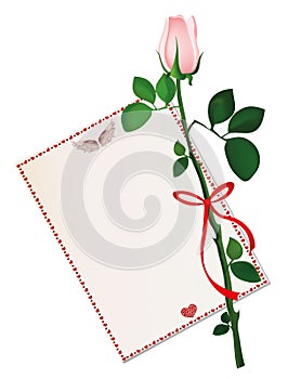 One white flower with red bow and ribbon and with empty blank