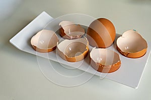 One whole chicken egg among the shells