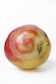 One whole Elstar apple