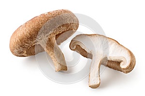 One whole and halved fresh Shiitake mushroom