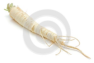 Parsley root isolated
