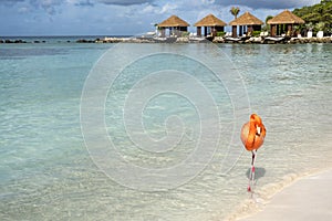 One Wild Pink Flamingo on a Caribbean Beach With Cabanas in the Background #2