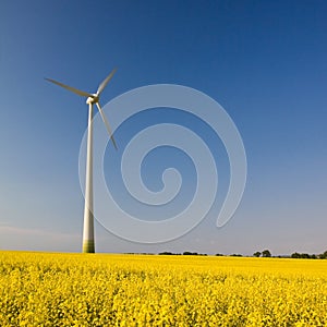 One windmill