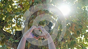 One woman doing heart gesture against a green tree with sunlight. People and love respect for nature forest and environment