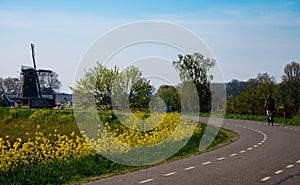 One woman ride bicycle in Betuwe, Gelderland, Netherlands