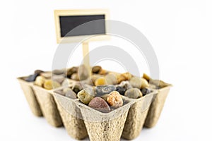 One, wooden blank boards, label with stick, stuck in a cardboard extruder filled with decorative pebbles, conceptual photo,space f