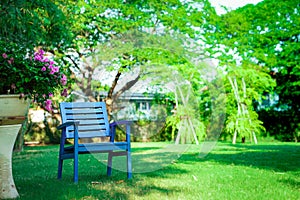 One Wooden blue chair alone in the garden. Feel lonely, but relaxing and retirement