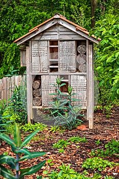 One wooden insect house in the garden. Bug hotel at the park with plants