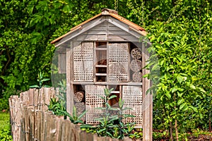 One wooden insect house in the garden. Bug hotel at the park with plants