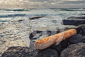 One wooden log by the wild ocean. Dark and muted color. Powerful ocean waves in the background. Nature scene. Doolin, county Clare