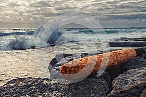 One wooden log by the wild ocean. Dark and muted color. Powerful ocean waves in the background. Nature scene. Doolin, county Clare