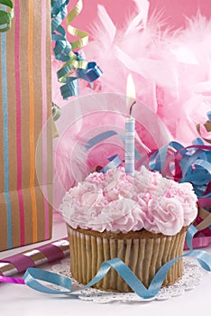 One Year Birthday Cupcake