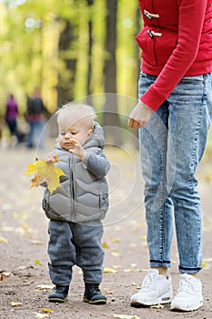 One year old baby boy in autumn park learning to walk with his mother