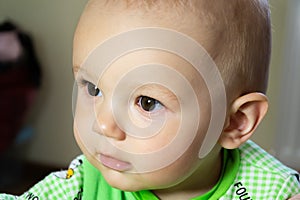 One year old baby is sitting and attentively looking somewhere. Little cheerful boy in a light green suit with sheep.