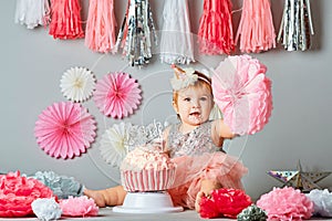 One Year Old Birthday Portraits with smash cake