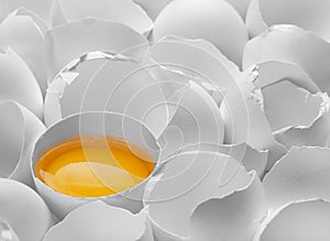 One yelk in broken egg shell
