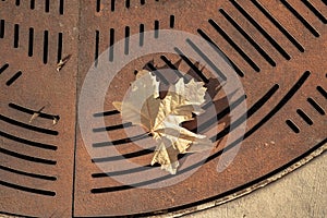 One yellow autumn leaf fallen onto rusty metal street grate abstract pattern background