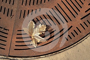 One yellow autumn leaf fallen onto rusty metal street grate abstract pattern background