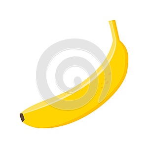 One yellow banana tropical fruit isolated on white background. Sweet breakfast