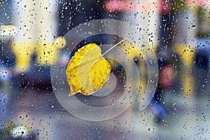 One yellow fallen leaf on window glass. View through glass of rain with city lights bokeh. Rainy night in the urban