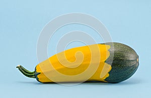 One yellow and green zucchini