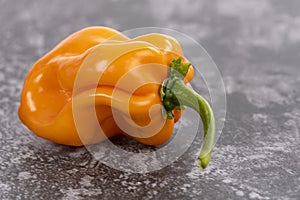 One Yellow Habanero or Scotch Bonnet Pepper