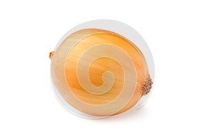 One yellow onion isolated on white background