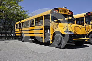 One yellow school bus