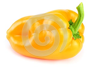 one yellow sweet bell pepper isolated on white background