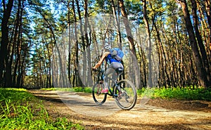 One young woman - cyclist in a helmet riding a mountain bike outside the city, on the road in a pine forest