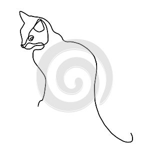 Oneline continious cat illustration icon logo on white transparent background
