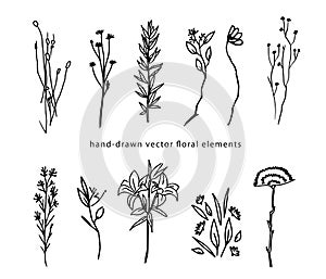 Oneline vector floral set hand drawn illustration