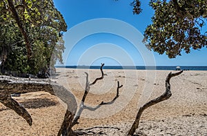Onemana Beach, Coromandel Pensinsula, New Zealand photo