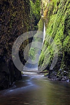 Oneonta falls in Columbia river gorge, Oregon