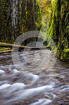 Oneonta gorge trail in Columbia river gorge, Oregon