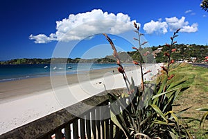 Onetangi Bay, Waiheke Island